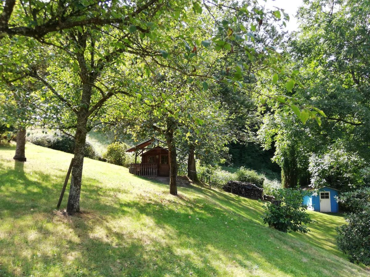 Chalet Madeleine - 160 Qm Ferienhaus Baden-Baden Exteriér fotografie